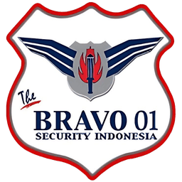 Bravo 01